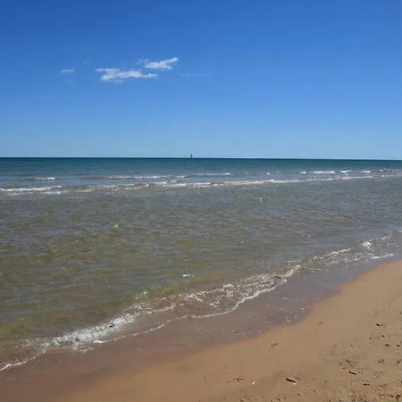 Bermudas * Playa de Gandia