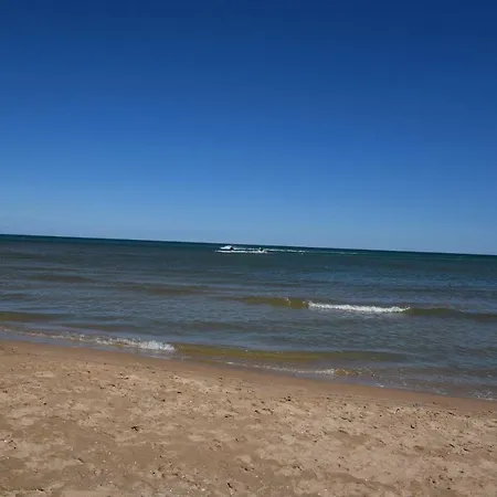 Bermudas Playa de Gandia
